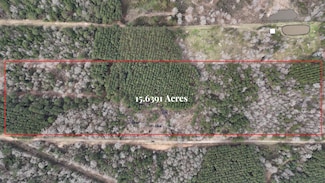 0 County Line Rd Unit 15374642, Shepherd, TX 77371