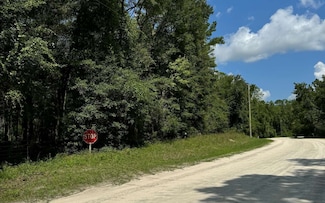 222 SW Loncala Loop, Fort White, FL 32038