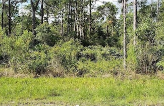 13475 Sheppard Ave, Port Charlotte, FL 33953