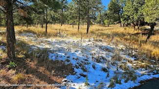 107 Rio Arriba Rd, Ruidoso, NM 88345