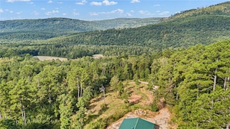 18497 Highway 123, Hagarville, AR 72839