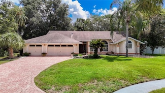 14101 Beechtree Ct, Hudson, FL 34667