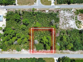 TBD Fisher Pass, Ocklawaha, FL 32179