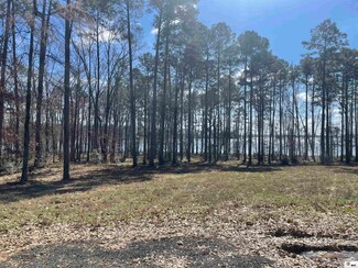 000 Ramsey Rd, Chatham, LA 71226