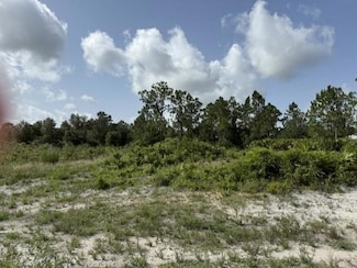 7897 8th Place, Labelle, FL 33935