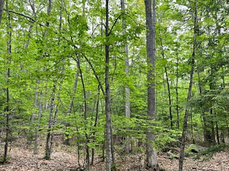 0 Ledgeview Heights Unit 1624496, Hiram, ME 04041