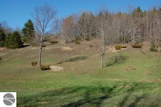 o S Fritz Rd, Maple City, MI 49664