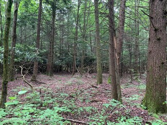 0 Moon Rd, Sterling Township, PA