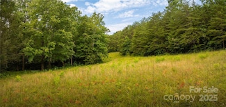 99999 Lavender Rd, Old Fort, NC 28762
