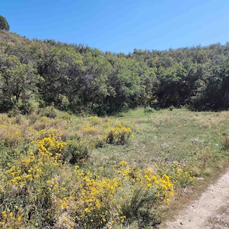 TBD Eagle Feather Trail, Maher, CO 81415