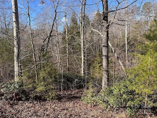 0 Rock Ledge Dr Unit CAR4230636, Lake Lure, NC 28746