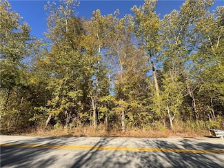 0 Narrows Rd Unit 1725004, East Millsboro, PA 15433