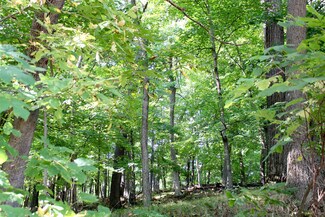 6.51 Ac W Dutch Hollow Rd, La Valle, WI 53941