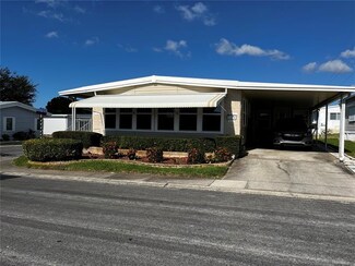 146 Mountain Fir Dr, Palm Harbor, FL 34684