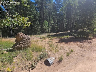 2701 N Mountain Estates Rd, Florissant, CO 80816