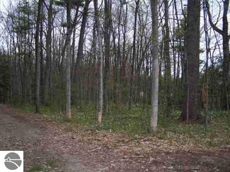 0000 Willow St, Elk Rapids, MI 49629