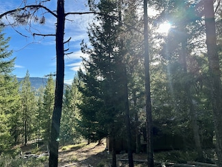 NHN Mill Creek Rd, Frenchtown, MT 59821