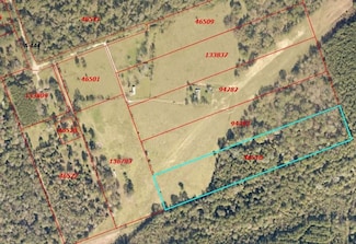 0 Tbd Carr Rd 03, Shepherd, TX 77371