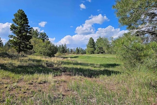1305 Trails Blvd, Pagosa Springs, CO 81147