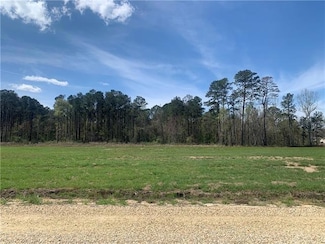 24755  Lot A-4 Louisiana 442, Independence, LA 70443