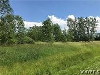 0 Lonnon Rd Unit B1426539, Somerset, NY 14012