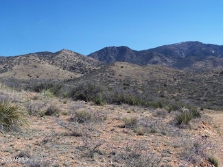 36.58ac W Four Feathers Loop Unit 69, Willcox, AZ 85643