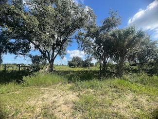 17925 NW 316th St, Okeechobee, FL 34972