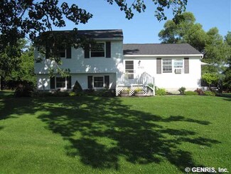 4450 Shelly Rd, Livonia, NY 14487
