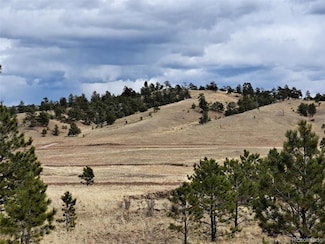 00 Black Beaver, Hartsel, CO 80449