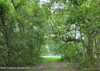 9001 Treiman Blvd, Rdg Mnr Est, FL 33597