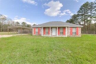 16301 Johns Dr, Tickfaw, LA 70466