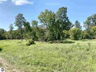 TBD S Pine River St, Ithaca, MI 48847