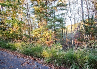 TBD Lot 17 Chestnut Falls Dr, Millers Creek, NC 28651