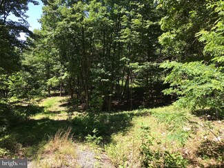 0 Grace's Cabin Rd Unit 1001900422, Romney, WV 26757