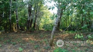 1420 Raymond South Bend Rd, Raymond, WA 98577