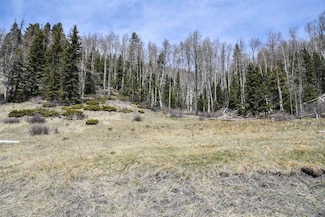 0 Copper Creek Estates, Red River, NM 87558
