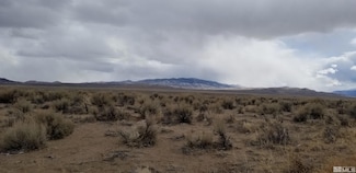 330 Eagle, Smith, NV 89430