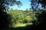 6398 Townsend Rd, East Jordan, MI 49727