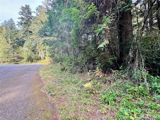 11411 Tillicum Dr, Anderson Island, WA 98303