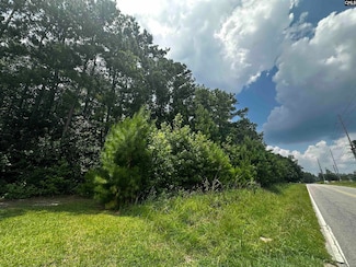0 Methodist Park Rd, West Columbia, SC 29170