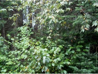 Lot 11 Lost Nation Rd, Northumberland, NH 03582
