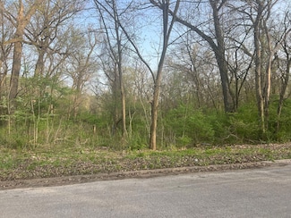 14505 W Wallingford Trail, Manhattan, IL 60442