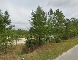 H946+M6X Satsuma, Satsuma, FL 32189