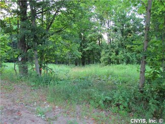 Lot 1 Corner of Kirch Hill & Abbey Rd, Greig, NY 13345