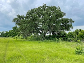 16876 County Road 809, Brazoria, TX 77422
