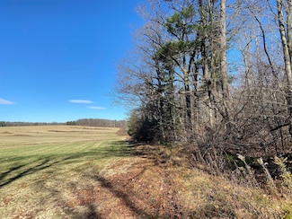 0 Brown Rd Unit LotWP001, Pulteney, NY 14874