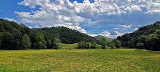 2484 Spring Valley Rd, Crawley, WV 24931