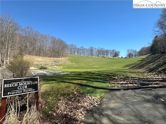 102 Cherry Gap Rd, Beech Mountain, NC 28604