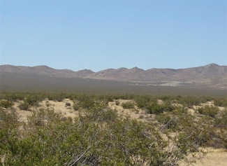 0 0655011330000 Danby Rd Unit 24007597, Danby, CA 92332