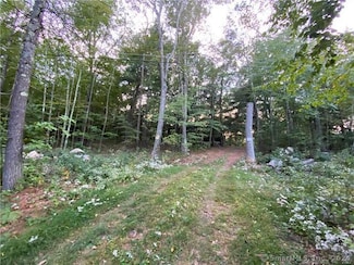 19 Potter Rd, Stafford Springs, CT 06076